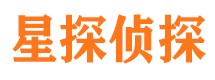 青山市私家侦探